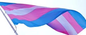 Trans Pride Flag