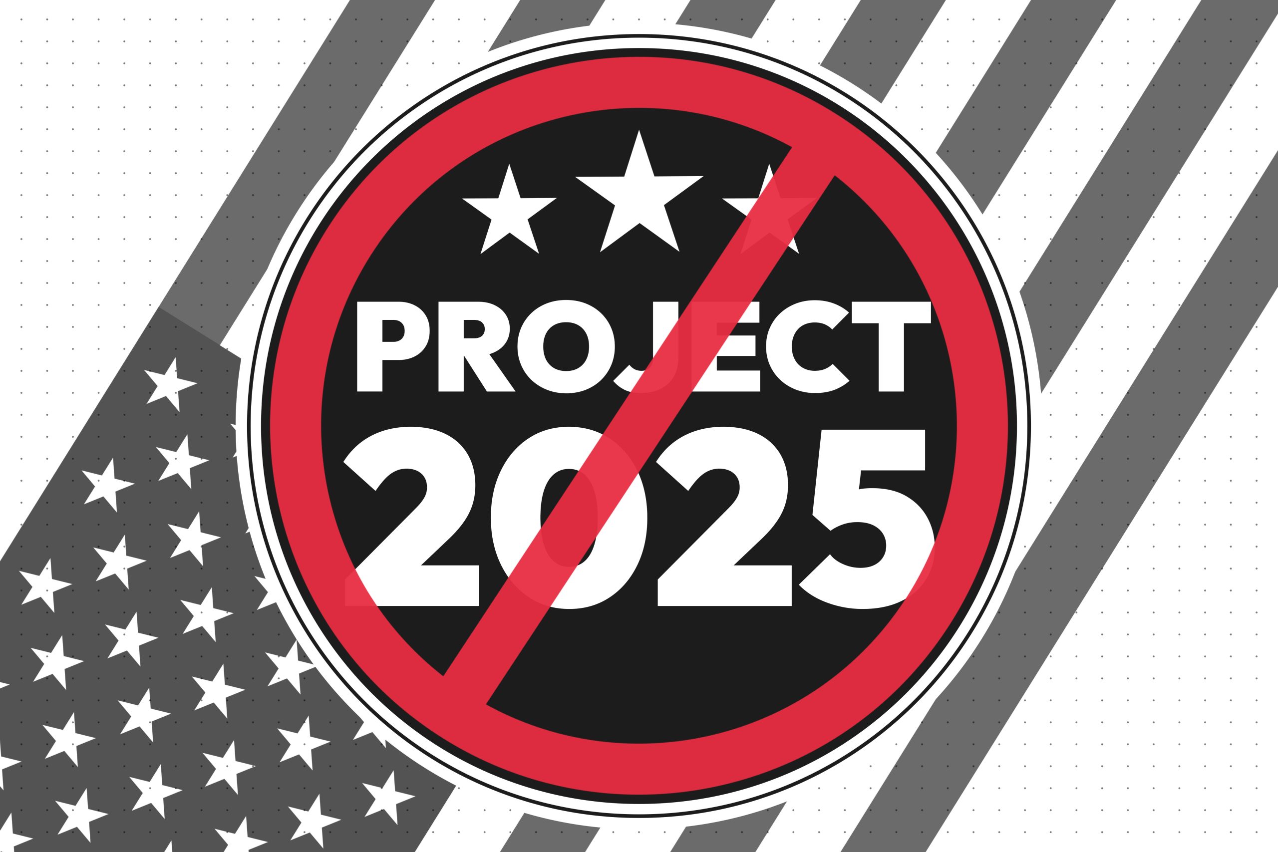 Slash through Project 2025 with United States flag in the backdrop